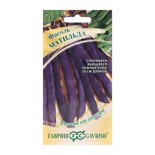 ���� ������ ������ 