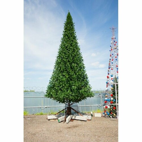 ���� ���� ������������� ������� ��������� ����������, 6 ������, ���� ���, ������ �� 117500 ���