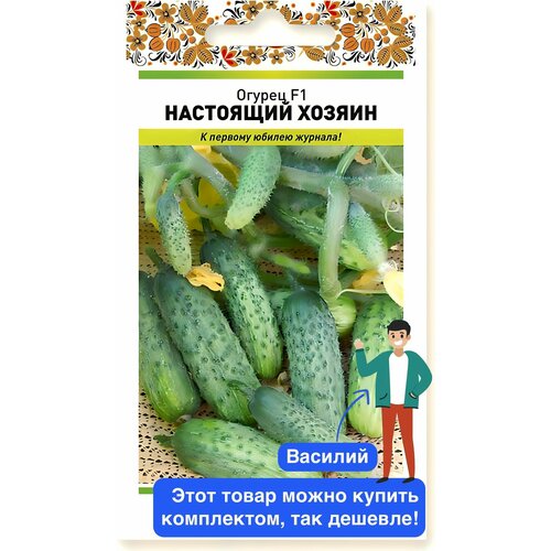 ���� ������ ������ ������� ������ 