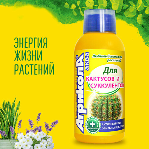 ���� ������ ����������������� ��������� ��� �������� � ����������� �������� ����, ������ �� 199 ���