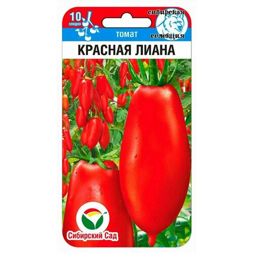 ���� ����� ������� �����, ������ �� 250 ���