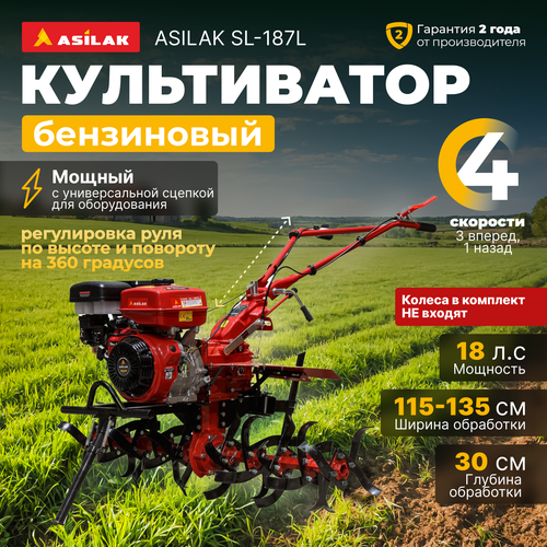 ���� ����������� ���������� ASILAK SL-187L (AS1556-1), ������ �� 63220 ���