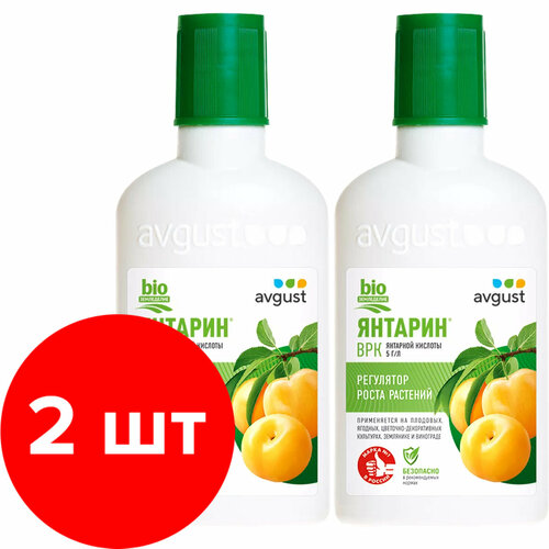     AVGUST  2   100 (200 ),   504 