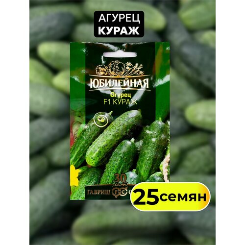 ���� ������ ����� F-1, ����������� ��� ������� � �������, ������ 25 ��, ������ �� 416 ���