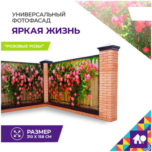 ���� ��������� ��� ��� / ��������� ��� ������ ����� �����, ������� ���� 310�158, ������ �� 1790 ���