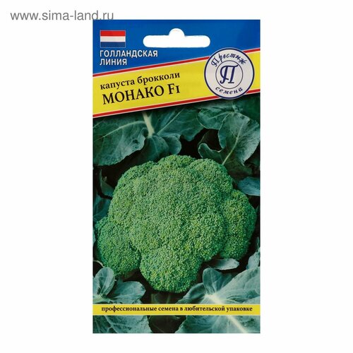 ���� ������ ������� �������� 