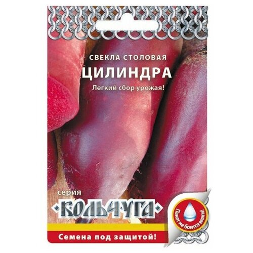 ���� ������ ������� ������ �������� ������ �������� �������� 3 �, ������ �� 33 ���