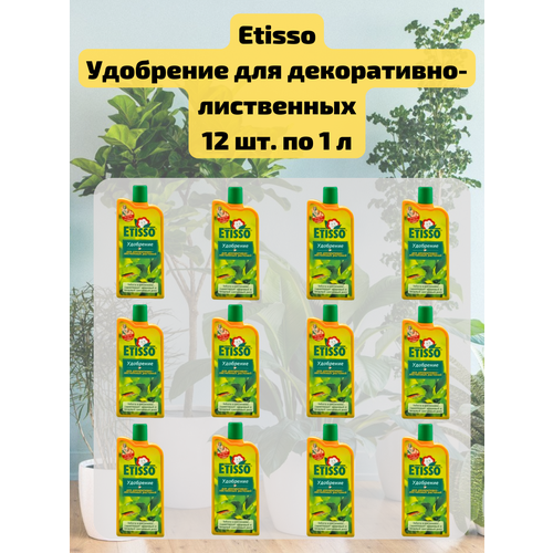 ���� �������� 12 ��. ��������� ������ ��� �����������-���������� �������� 1 �. Etisso, ������ �� 13802 ���