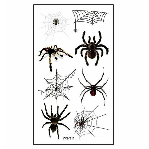 ���� ���������� ���� ��������� ����� ��������, ������ �� 245 ���