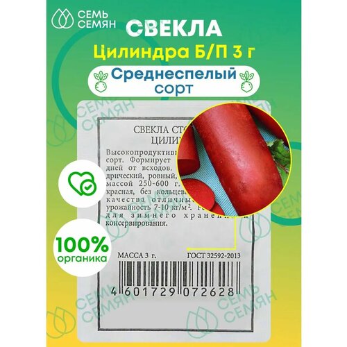 ���� ������. ������ 