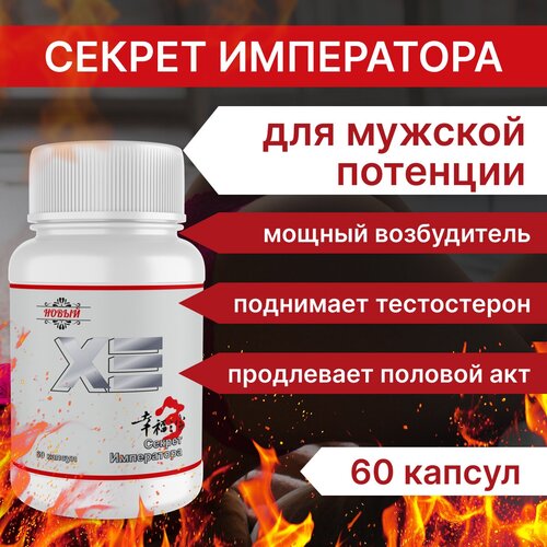 ���� ������� ����������� ����������������� 