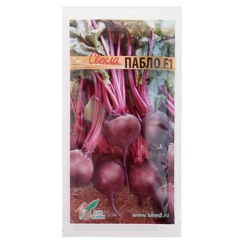 ���� ������ ������ 