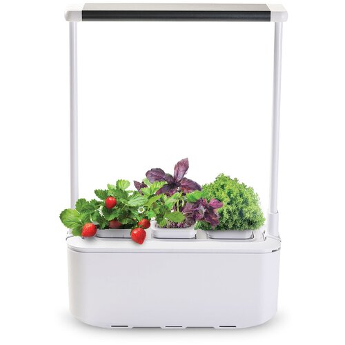 ���� ����� � ������� �����-��� iGarden PRO, �����, ������ �� 6657 ���