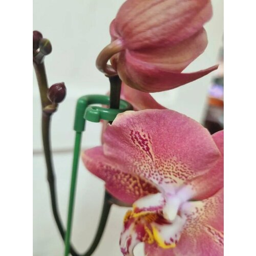 ���� ����� ����� ��� ������� 3�� ����� 58��/3 ������ ��� ��������, ������ �� 430 ���