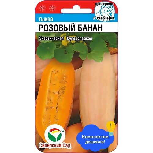 ���� ������ ������ ��������� ��� 