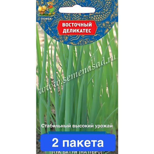 ���� ������ ������ ����� 