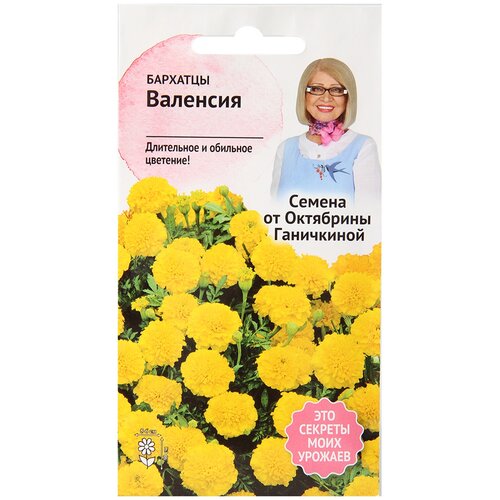    0,2  /      /       /,   70 