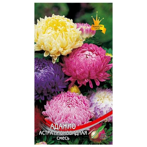 ���� ����� ����������� ������ �����, 90 �����, ������ �� 230 ���