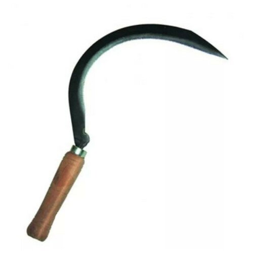 ���� ����������� ��� ���� 300��, ������ �� 752 ���