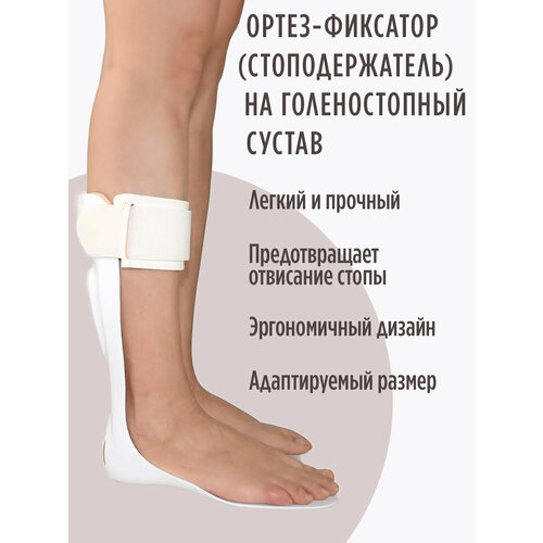 ���� ����� �������� , �������������� �� ������������� ������ (AFO) ��� ���������� �����, �� ������ ����, ������ �� 3017 ���