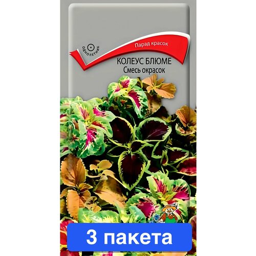 ���� ����� ������ ����� ����� ������� 3 ������, ������ �� 635 ���