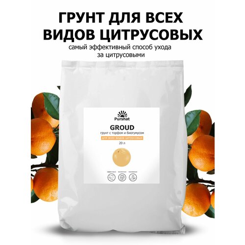   ()   (, , ) .       (Purshat) 20 ,   2387 