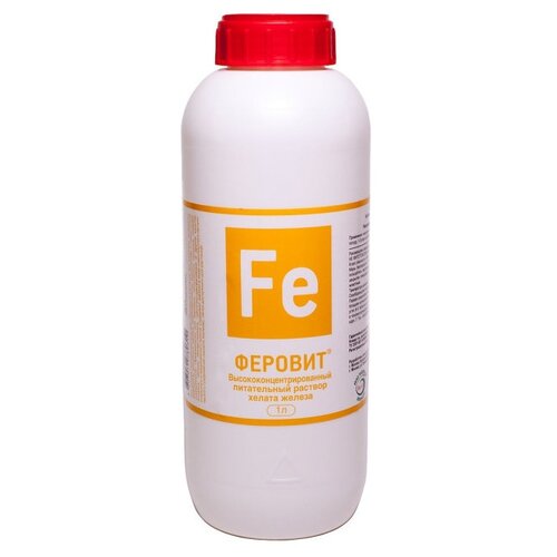 ���� ��������� ���� � �������, 1 �, 1000 �, 1 ��., ������ �� 1700 ���