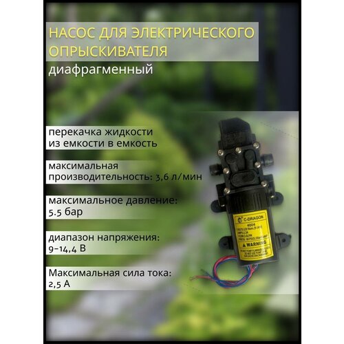 ���� ����� ������������� ��� �������������� �������������, ������ �� 1377 ���