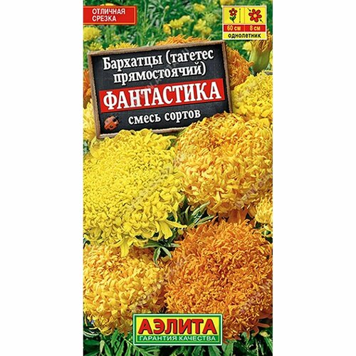 ���� ������ �������� ���������� ����, ����� ������, ����������, (������) 0,1�, ������ �� 45 ���