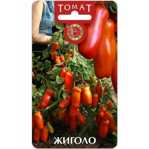 ���� ������ ������ 