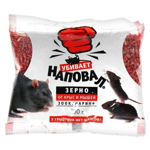 ���� ����� �� ���� � ����� 