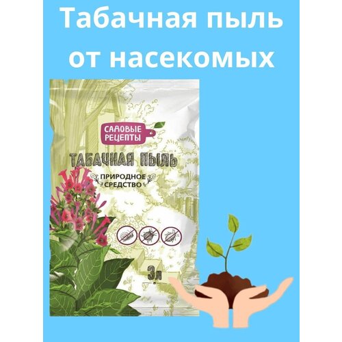 ���� �������� �� ��������� �������� ����, 3 �, ������ �� 233 ���