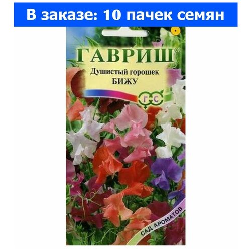 ���� ������. �������� ������� 