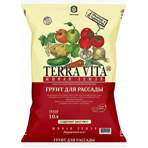 ���� ����� ��� �������, ����� ����� 10�, ������ �� 586 ���