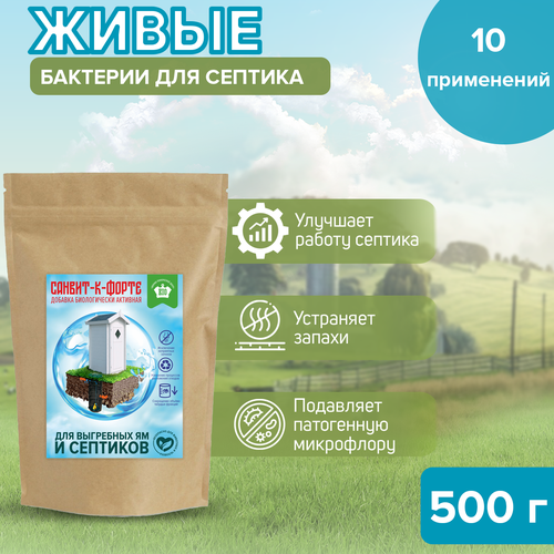 ���� �������� 