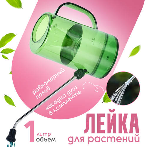 ���� ����� ��� ������ � ��������� ��������, 1 ����, ������ �� 1065 ���