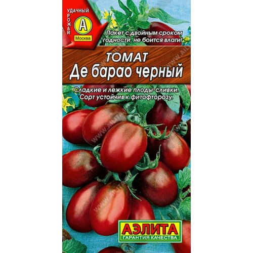 ���� ������ ����� �� ����� ������ 20�� ����� (������), ������ �� 45 ���