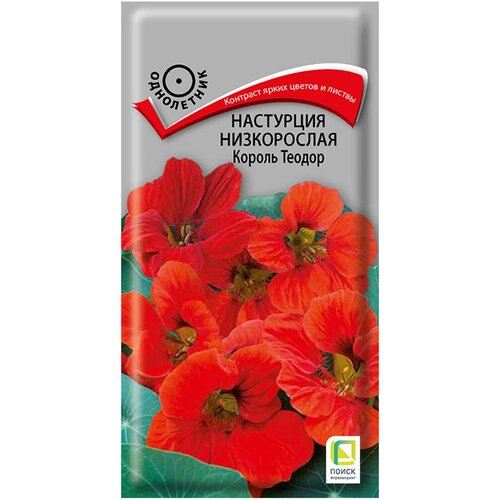 ���� ��������� ������ ������ ����������� 1� �����, ������ �� 44 ���