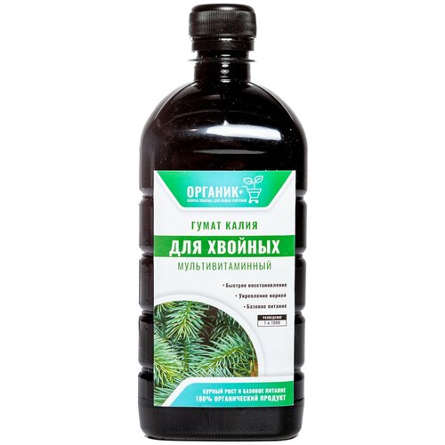 ���� ��������� ��� ������� ����� �����, ������ �� 438 ���