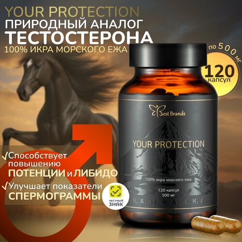  YOUR PROTECTION - 100%   .    . (120 )   -     , -, 