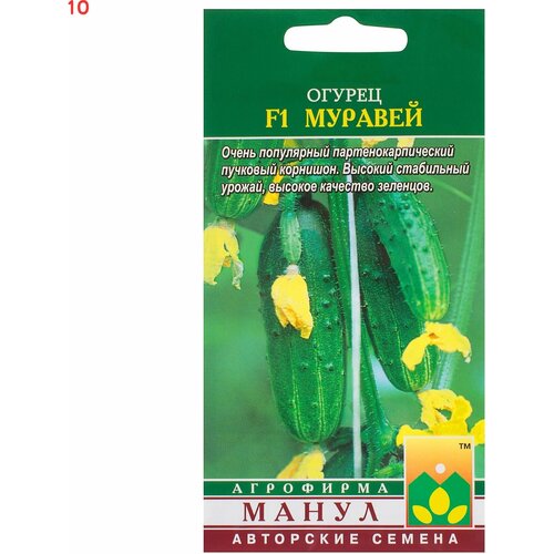 ���� ������ ����� 