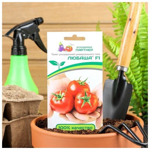 ���� ������ ����� 