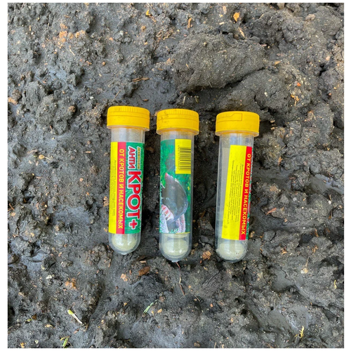 ���� �������� �������� (3 ��������) �������� �� �������� , 3 �������� !, ������ �� 589 ���