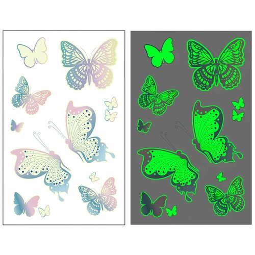 ���� ��������� ���������� ����������, ���������� � �������, ������� ���� 