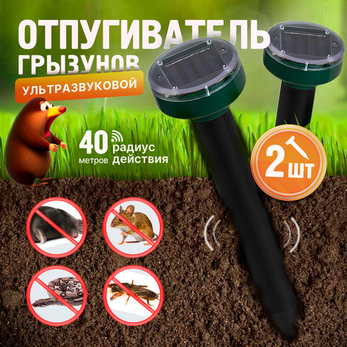 ���� ������������ ������, �����, ����, ����, �������� ��������������, 2��., ������ �� 950 ���