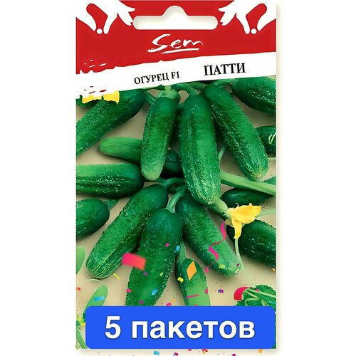 ���� ������ ������ ������� ������ 