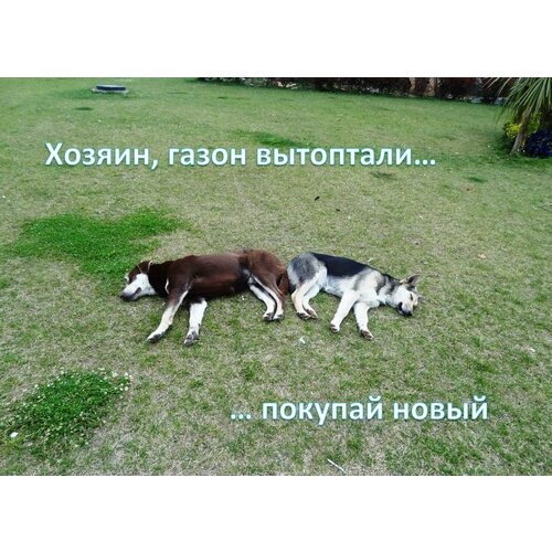 ���� ����� ������� ������ 10 �� � �����, ������ �� 3350 ���