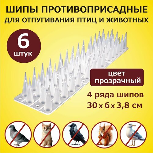         3006038   6 , ,  ,   2047 