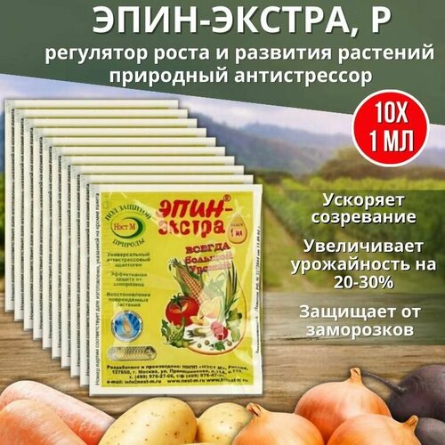 ���� ����-������ ��������� ����� � �������� ��������, ��������� ������������ 1 ��, 10 ��, ������ �� 590 ���