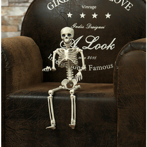 ���� ������ � ���������� ������������, ������ 36 ��, ��������� �� ��������� � ����� ��������, ������ �� 900 ���